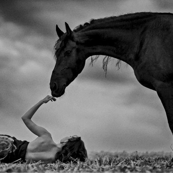 Meet your Posher, Melissa - Picture 1 of 1